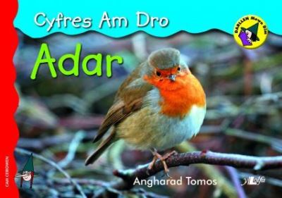 Adar - Cyfres am Dro
