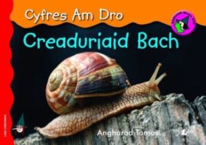 Creaduriaid Bach - Cyfres am Dro