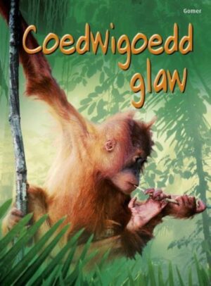 Coedwigoedd Glaw (Dechrau Da)