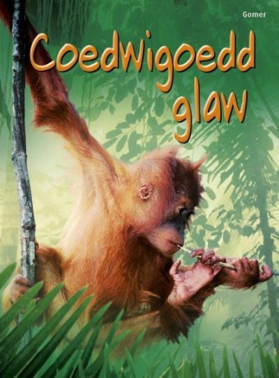 Coedwigoedd Glaw (Dechrau Da)
