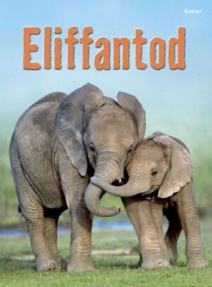 Eliffantod (Dechrau Da)