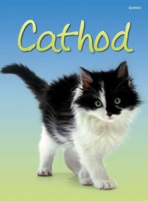 Cathod (Dechrau Da)