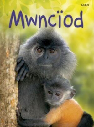 Mwnciod (Dechrau Da)