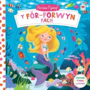 For-Forwyn Fach, Y