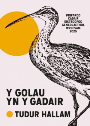 Golau yn y Gadair