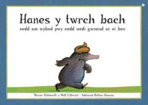 Hanes y Twrch oedd am Wybod Pwy oedd Wedi Gwneud ar ei Ben
