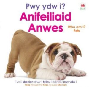 Anifeiliaid anwes