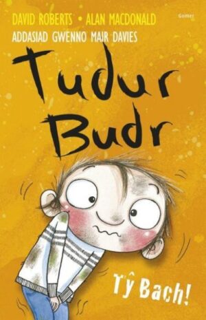 Ty Bach Tudur Budr LLYA14