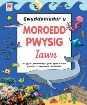 Gwyddoniadur Y Moroedd Pwysig Iawn