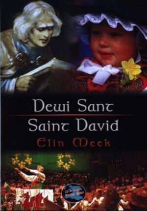 Dewi Sant