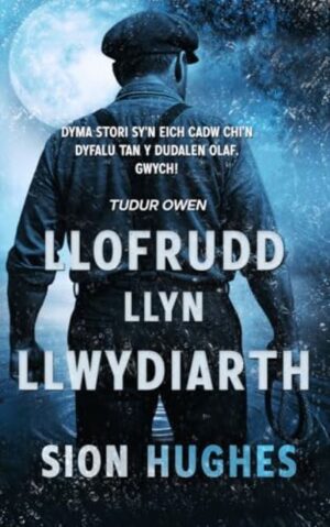 Llofrudd Llyn Llwydiarth